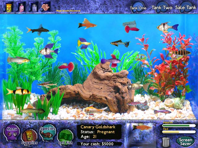 free games on big fish